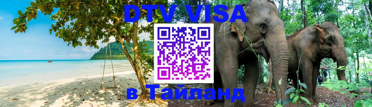 Оформление DTV визы под ключ: стоимость и тарифы, только загранпаспорт - 18.11.2025 